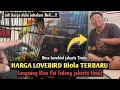 Lagu Update Harga Lovebird Terbaru Februari 2026‼️kios Fai Ledheng Cakung Jakarta timur