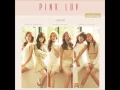 Download Lagu [Full Mini Album] Apink – Pink LUV [5th Mini Album]