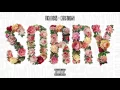 Rick Ross feat. Chris Brown "Sorry" (Official Explicit Audio)