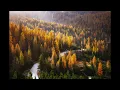 Shallou - Save Some Room (Slowed And Reverbed)