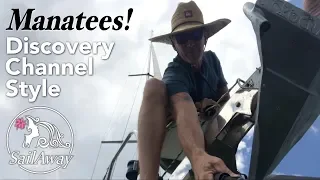 SailAway 29 | Sailing With Manatees Discovery Channel Style! | Sailboat Living Sailing Vlog