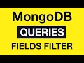 16 MongoDB Queries - Fields Filtering