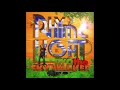 残像 feat. JUMBO MAATCH (MIGHTY JAM ROCK), 太華 (Libra Record) / RYO the SKYWALKER