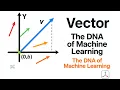 Vectors The DNA of Machine Learning Chapter 3 Essential for Machine Learning Beginners