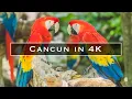 Download Lagu Cancun in 4K