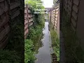 Download Lagu Hevige ochtend buien in Vogelwaarde Nederland gangpad staat blank