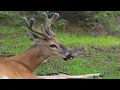 Tennessee Outdoor Update on Fishing Hunting