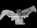 Lagu Black Swan (orchestral/instrumental version) - BTS (slowed + reverb)