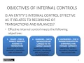 Topic 5 - Understanding internal controls