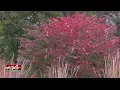 2019 Spring Live Doppler Storm Center Special