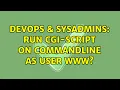 DevOps SysAdmins Run cgi-script on commandline as user www 2 Solutions