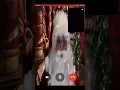 calling Santa on FaceTime