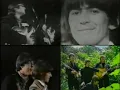 Lagu The Beatles - Paperback Writer and Rain (Ed Sullivan Show 1966)