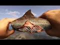 Download Lagu Sons of the Forest - All Food and Drinks | 4K | Ultrawide