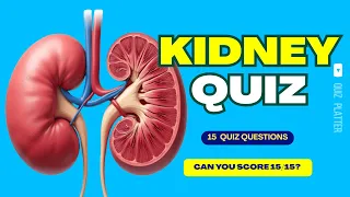 Kidney Quiz 15 Questions How Many Will You Get Right
