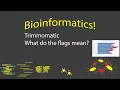 Bioinformatics - Understanding Trimmomatic