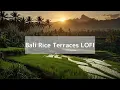 Download Lagu 🌴 Bali Rice Terraces #lofi \\\\^// Exotic Southeast Asian Vibes 🍚 #free #bgm #music _vol.0013