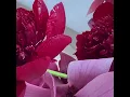 Logic1000 - Safe In My Arms (Official Visualiser)