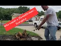 Harbor Freight propane torch it s a flamethrower