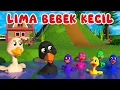 Download Lagu Lima Bebek Kecil Pergi Main - Lagu Anak Indonesia Balita Terbaru Viral