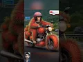 Download Lagu Monyet lucu 😅🤣😂 #monkey #monyet #monyetlucu #cutemonkey #lucu #kocak #ngakak #funny #monkeydluffy