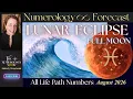 FULL LUNAR - ALL LIFE PATHS Time Stamps August 2026