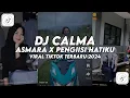 Lagu DJ CALMA x ASMARA BY DANVANTA - Viral Tiktok🔥