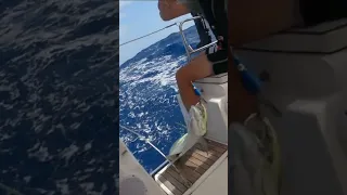 Diving into the Deepest Swimming Pool off a SAILBOAT #shorts