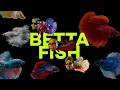 Download Lagu ALLDONE KLAAR - BETTA FISH Feat SAYKOJI \u0026 NGAPZ