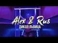 Download Lagu ALEX \u0026 RUS – Дикая львица (Official Video 2019)