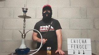  test no woman no cry blue horse sur mig armour chicha feroce