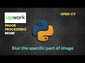 Blur the specific Part of Image Upwork 50 work Open-cv Python Tutorial
