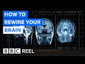 Download Lagu Why you're not stuck with the brain you're born with - BBC REEL