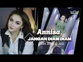 Lagu ANNISA - JANGAN DIAM DIAM