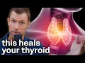 How to Heal Hypothyroidism and Hashimoto s Naturally