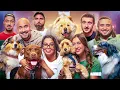Download Lagu Les rencontrent de chiens #2 feat Max Biaggi, Styleto, Kyan, Melha et Tony