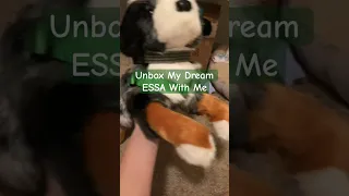 Unbox My Dream ESSA With Me Esa Essa  Unbox My Dream ESSA With Me Esa Essa