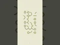 Infinity Loop Game Level 17 Solution