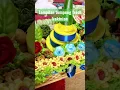 Download Lagu TUMPENG FRESH KEKINIAN UPDATE #shorts