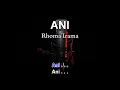 Download Lagu ANI - RHOMA IRAMA | Karaoke Dangdut Tanpa Vokal