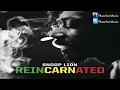Snoop Lion - Tired Of Running ft. Akon