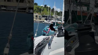 The spinnaker is his favorite relaxation station #cat #ourladydefiant #spinnaker