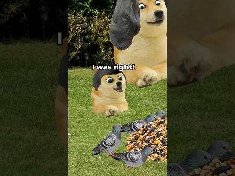 Doge kid does an experiment