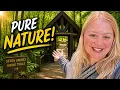 Seven Bridges South Milwaukee Wisconsin Hike With Stunning Forest Views