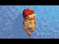 1 Teaspoon Cleans Out Fat in Your Liver | Dr. Mandell