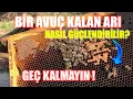Bir Avuç Kalmış Zayıf Arıyı Güçlendirme | Zayıf Arı Nasıl Güçlendirilir