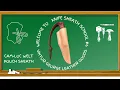 MAKE A CAM-LOC WELT POUCH SHEATH Vol 6