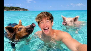 Swimming With Pigs in The Bahamas!