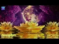 Miracles will start happening for you - Just Try for Listening 3 Minutes - Raise Your Vibrations