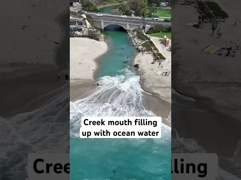 Creek Mouth Fills up with ocean salt water! 🤯 #SoLagLocal #Shorts